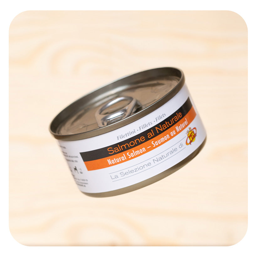 Filets de saumon au naturel pour chat - 85 g - Pet's Planet