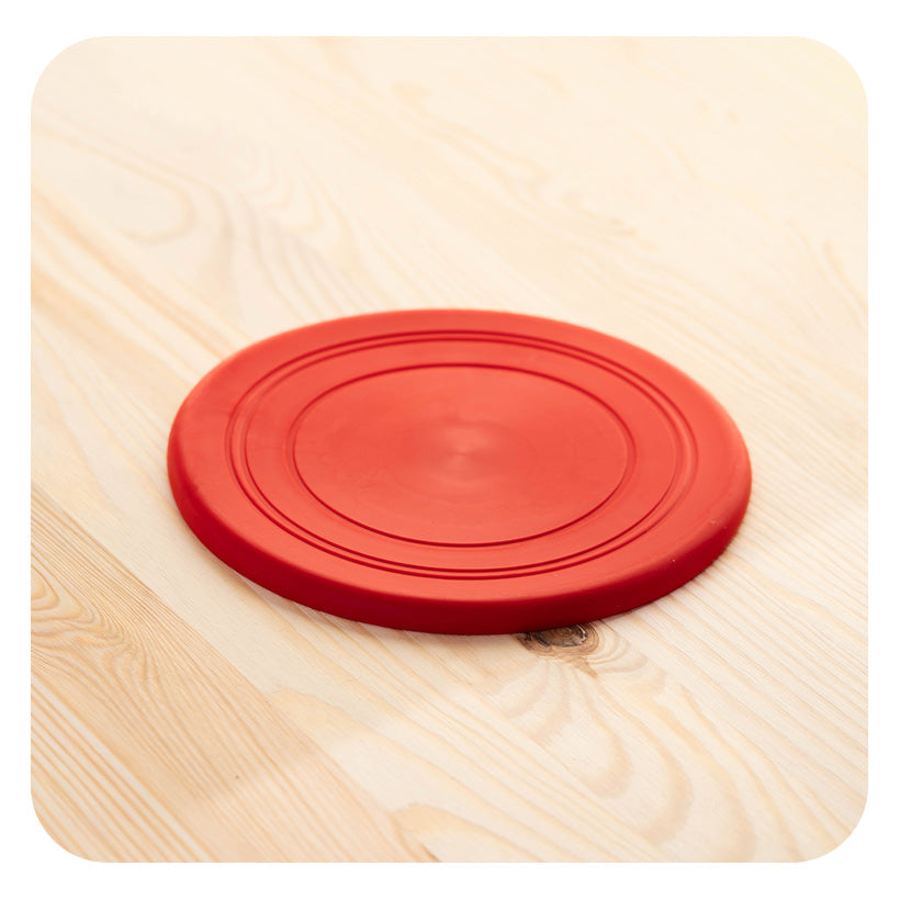 Frisbee pour chien – jouet de lancer