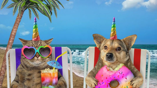 Famille préparant les bagages pour les vacances avec un chien et un chat, accompagnés de leurs gamelles, d'une caisse de transport et d'une gourde d'eau, illustrant les indispensables pour voyager avec un animal de compagnie.