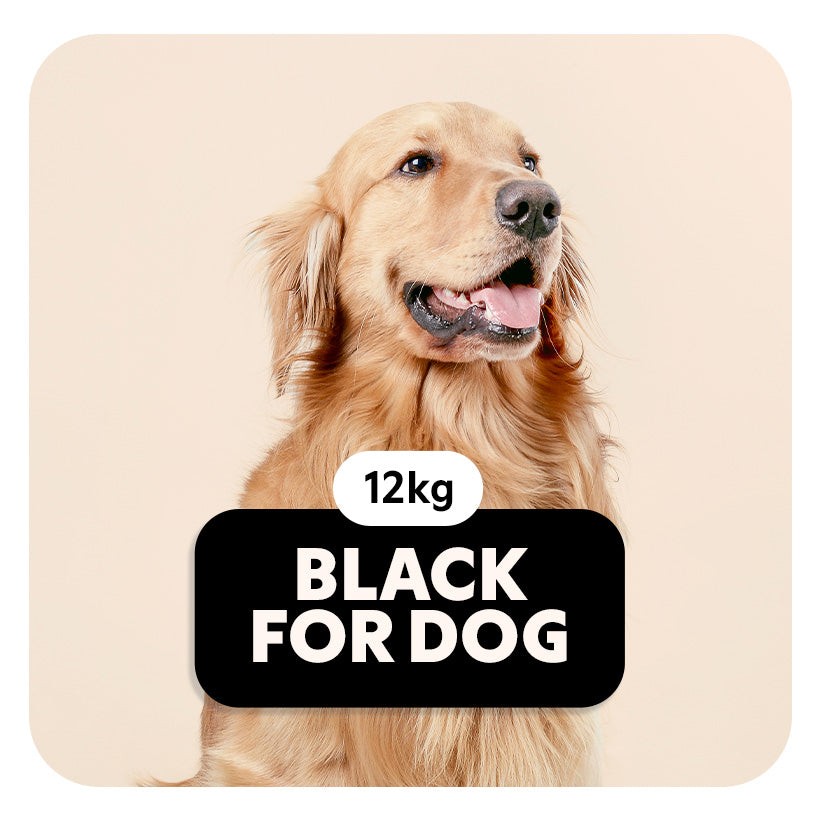 BLACK for DOG - Croquettes pour tous les chiens - 12 Kg - Pet's Planet