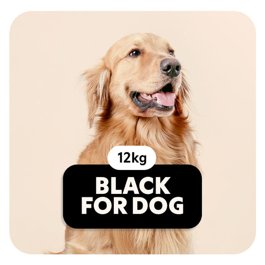 BLACK for DOG - Croquettes pour tous les chiens - 12 Kg - Pet's Planet