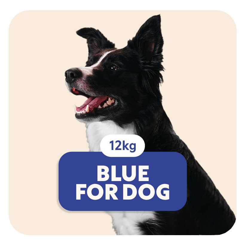 BLUE for Dog - Aliment complet «sensitive» pour chiens de moyenne et grande taille - 12 kg - Pet's Planet