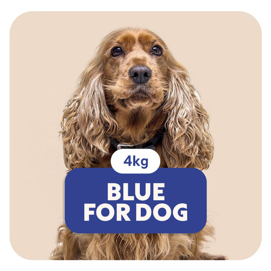 BLUE for Dog - Aliment complet «sensitive» pour chiens de petite taille - 4 kg - Pet's Planet