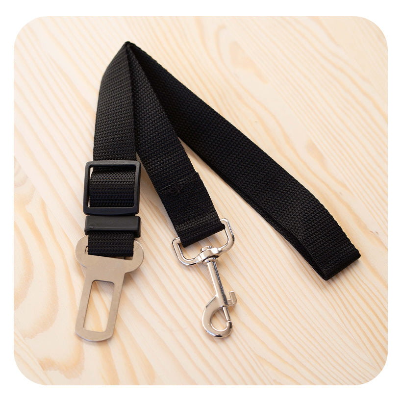 Ceinture de sécurité