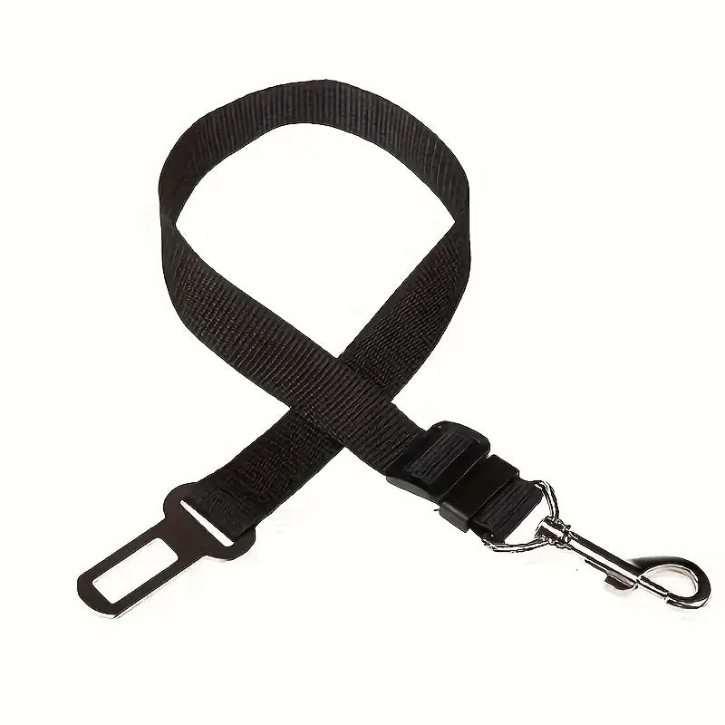 Ceinture de sécurité