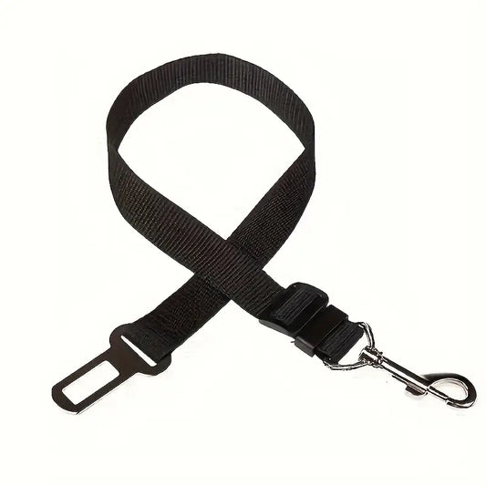 Ceinture de sécurité