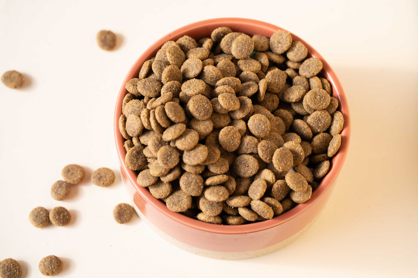 PURPLE for DOG - Aliment complet «sensitive» pour chiots et chiens de petite taille -  12 kg - Pet's Planet