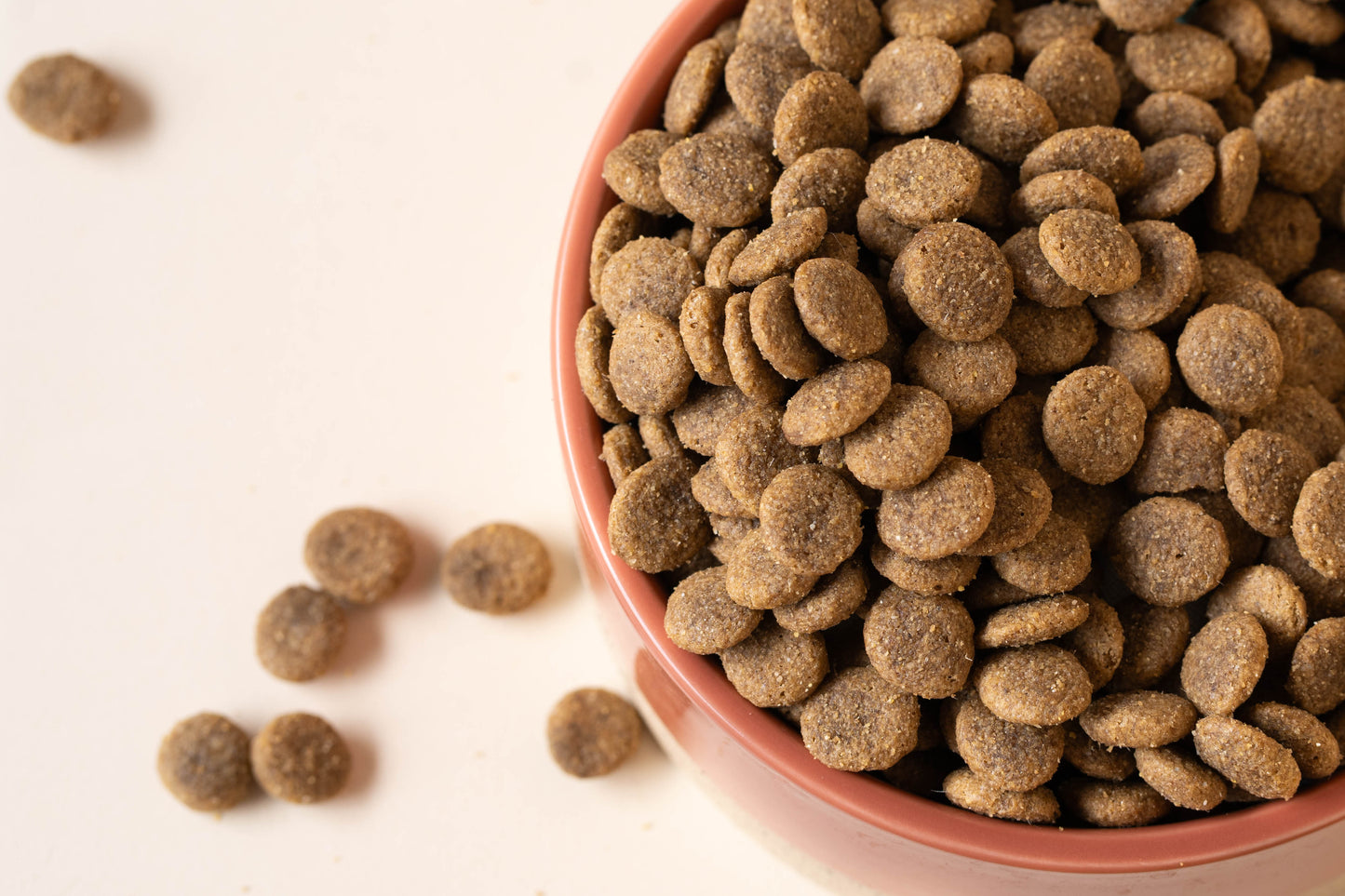 PURPLE for DOG - Aliment complet «sensitive» pour chiots et chiens de petite taille -  12 kg - Pet's Planet