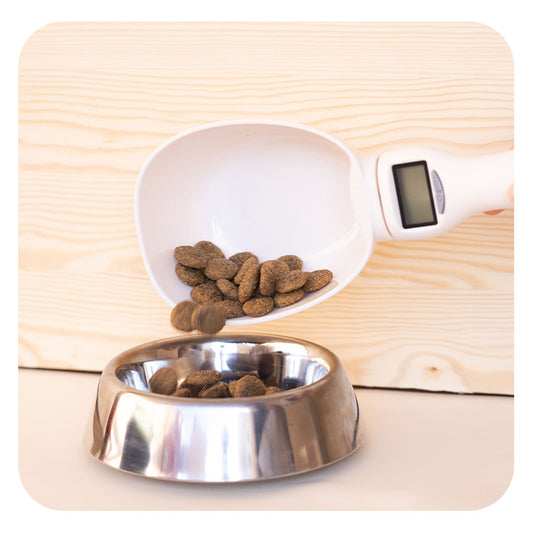 Cuillère balance électronique