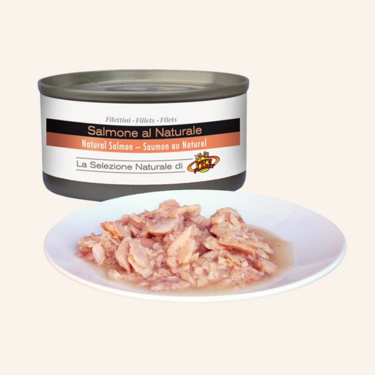Filets Pet’s Planet pour chiens – aliment humide savoureux