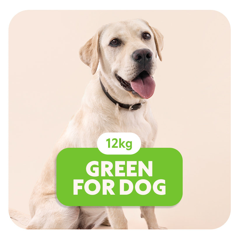GREEN for Dog - Croquettes pour tous les chiens - 12 Kg - Pet's Planet