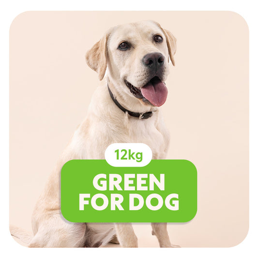 GREEN for Dog - Croquettes pour tous les chiens - 12 Kg - Pet's Planet