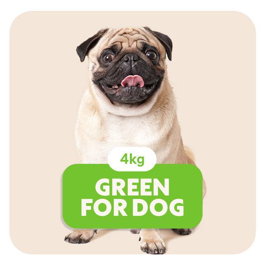 GREEN for Dog - Croquettes pour tous les chiens - 4 kg - Pet's Planet