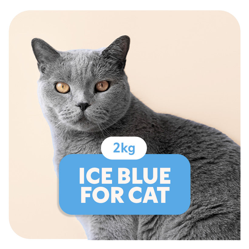 ICE BLUE for CAT - Aliment complet « sensitive » pour tous les chats - 2 Kg - Pet's Planet