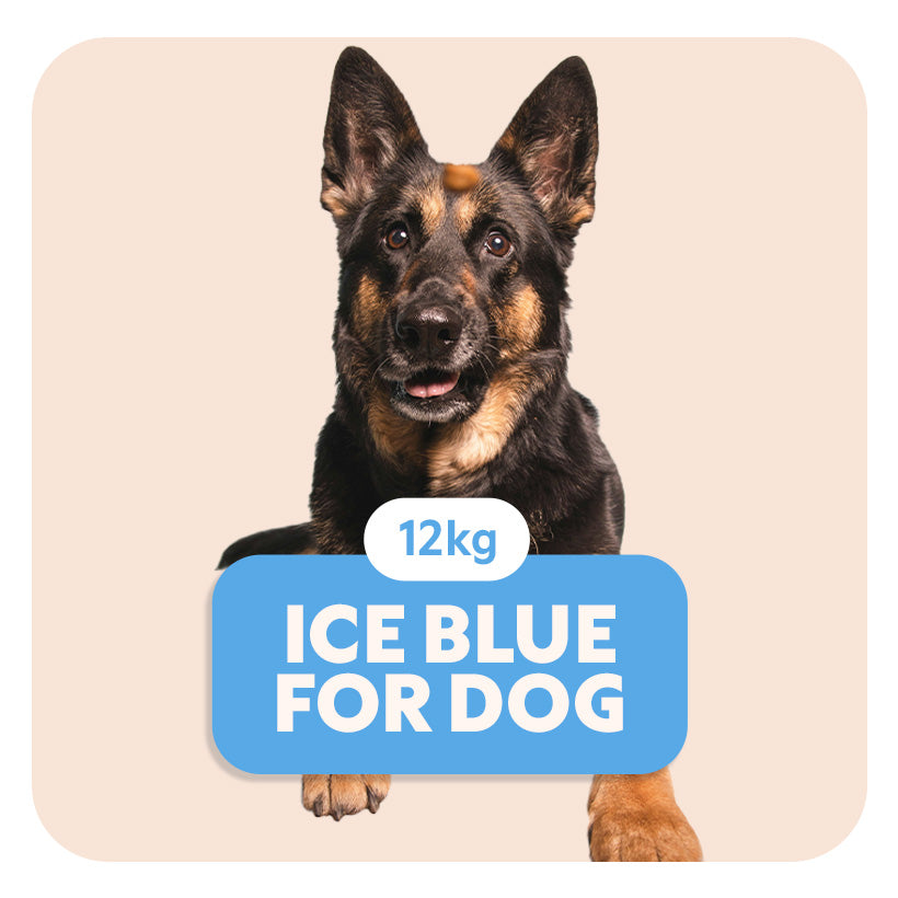 ICE BLUE for Dog - Aliment complet «sensitive» pour chiens de moyenne et grande taille - 12 kg - Pet's Planet