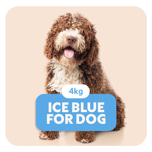 ICE BLUE for Dog - Aliment complet «sensitive» pour chiens de petite taille - 4 kg - Pet's Planet