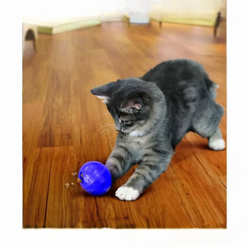 Jouet Kong Chat