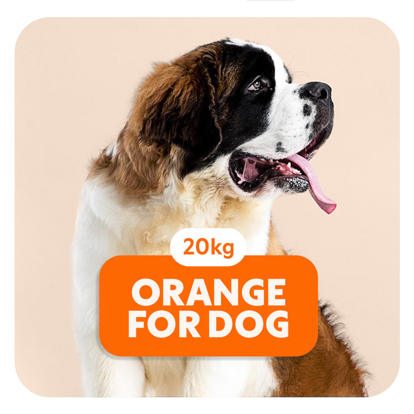 ORANGE for DOG - Croquettes pour tous les chiens de grandes tailles - 20 Kg - Pet's Planet
