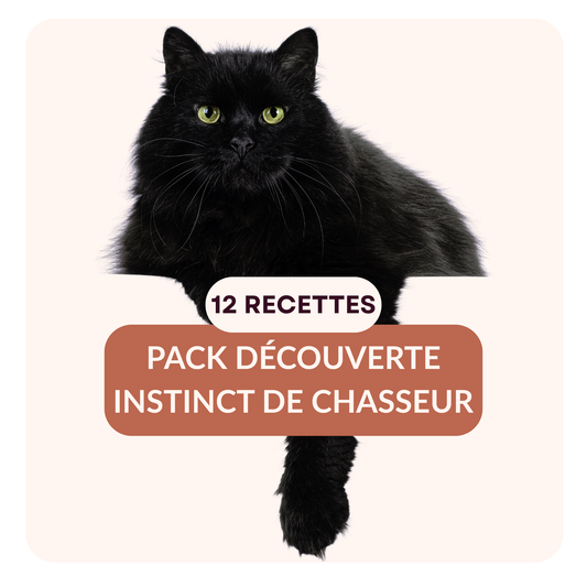 Pack Découverte - Instinct de Chasseur