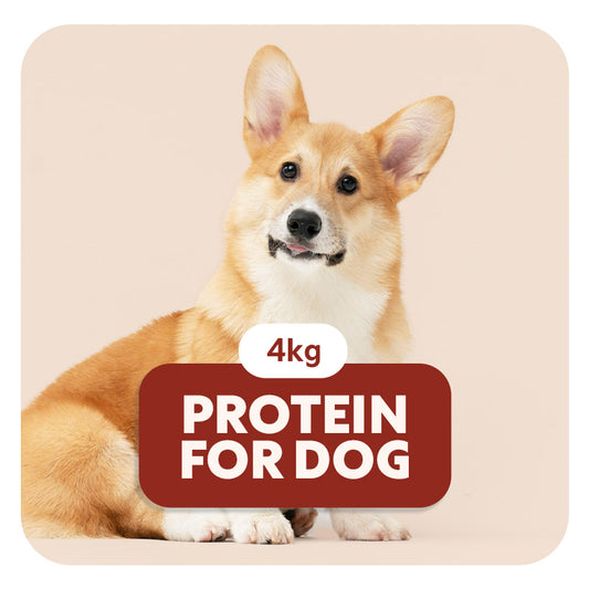 PROTEIN formula for DOG - Croquettes pour les chiens de petite taille - 4 Kg - Pet's Planet