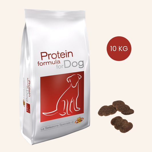 Croquettes Protein Formula sans céréales 10 kg – Pour chiens moyens et grands
