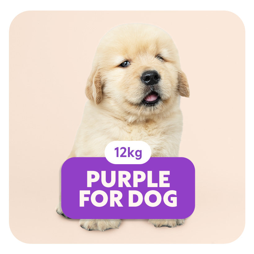 PURPLE for DOG - Aliment complet «sensitive» pour chiots et chiens de petite taille -  12 kg - Pet's Planet