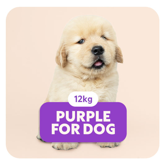 PURPLE for DOG - Aliment complet «sensitive» pour chiots et chiens de petite taille -  12 kg - Pet's Planet