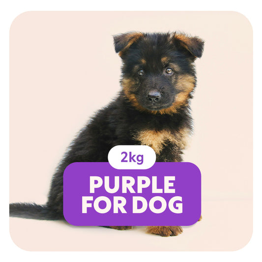 PURPLE for DOG - Aliment complet «sensitive» pour chiots et chiens de petite taille -  2 kg - Pet's Planet