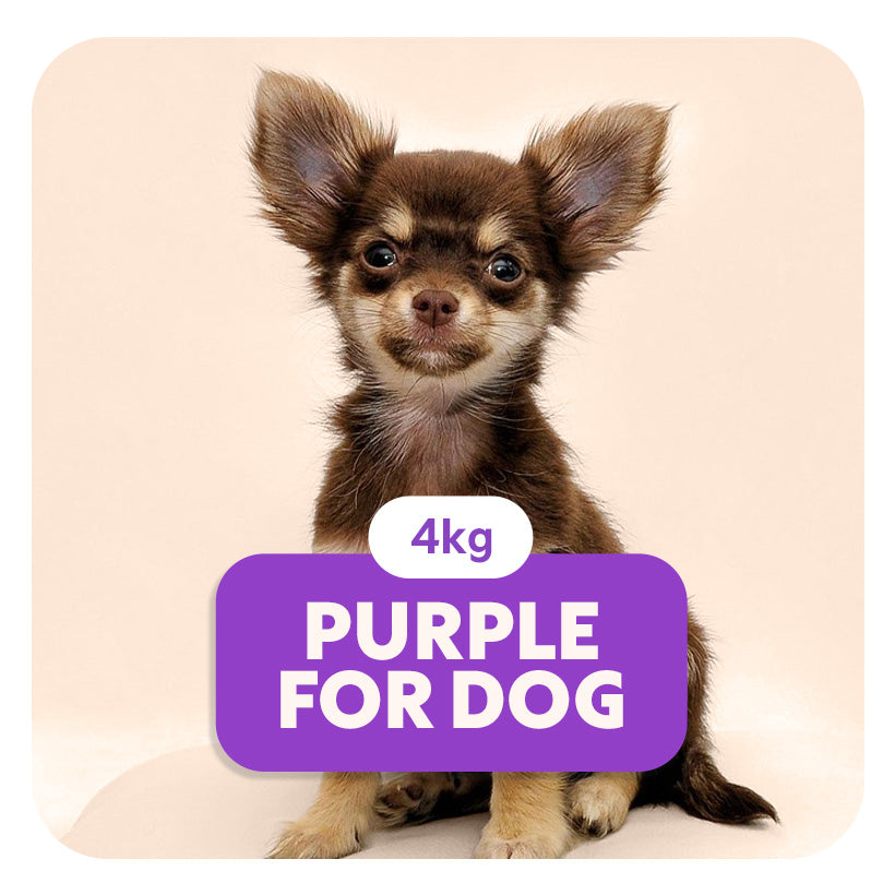 PURPLE for DOG - Aliment complet «sensitive» pour chiots et chiens de petite taille -  4 kg - Pet's Planet