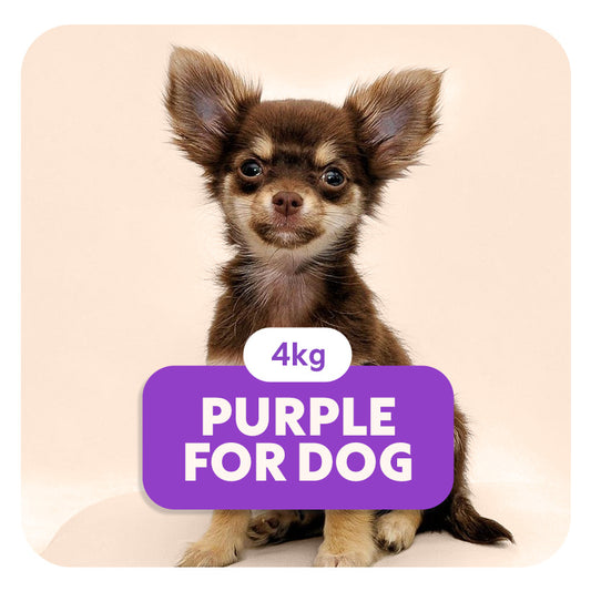 PURPLE for DOG - Aliment complet «sensitive» pour chiots et chiens de petite taille -  4 kg - Pet's Planet