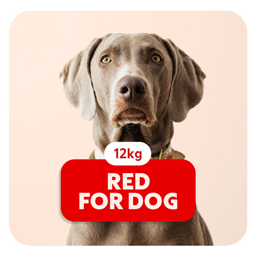 RED for DOG - Aliment complet « Sensitive » pour chiots de moyennes et grandes races et chiens adultes actifs - 12 kg - Pet's Planet