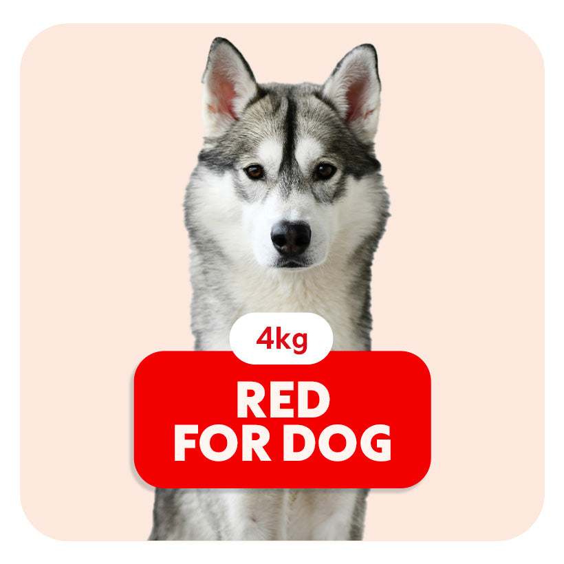 RED for DOG - Aliment complet « Sensitive » pour chiots de moyennes et grandes races et chiens adultes actifs - 4 kg - Pet's Planet