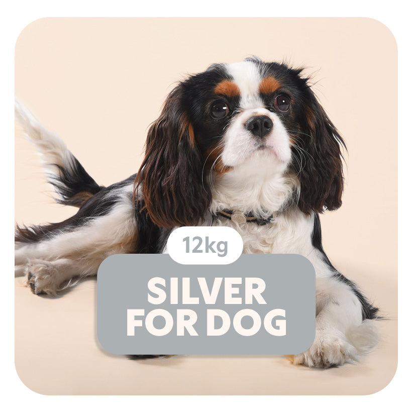 SILVER for DOG - Croquettes pour tous les chiens - 12 Kg - Pet's Planet