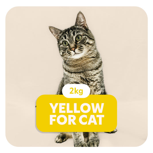 YELLOW for CAT - Aliment complet « sensitive » pour tous les chats - 2 kg - Pet's Planet