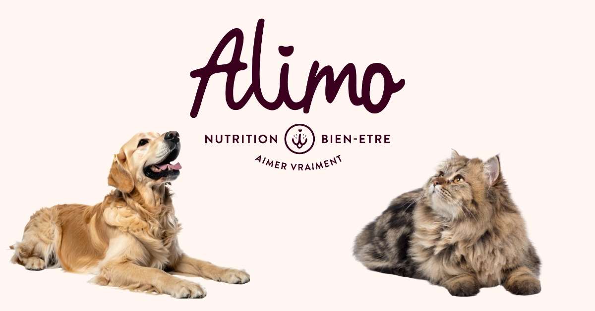 FORMULAIRE DE CONSEIL NUTRITIONNEL ALIMO
